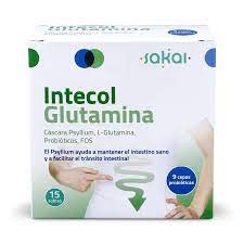 Intecol Glutamina 15 Sobres (Sakai)
