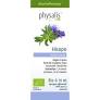Aceite Esencial Hisopo 10 ml. (Physalis)