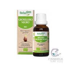 Extracto Grosellero Negro 15 ml (Herbalgem)