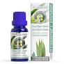 Aceite Esencial Eucalipto Limon 15 ml. (Marnys)