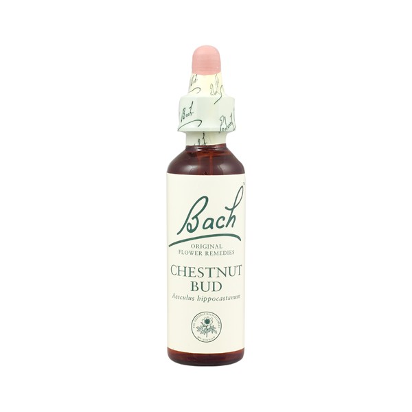 Chestnut Bud Nº 07  *Brote De Castaño* 20Ml. (Bach Flowers) 7