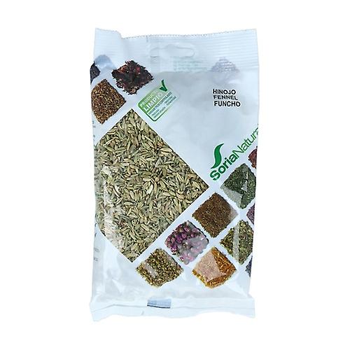 Hinojo Semillas Bolsa P. 100 Gr. (Soria)