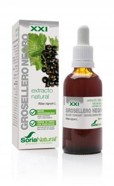 Extracto Grosellero Negro 50Ml (Soria)