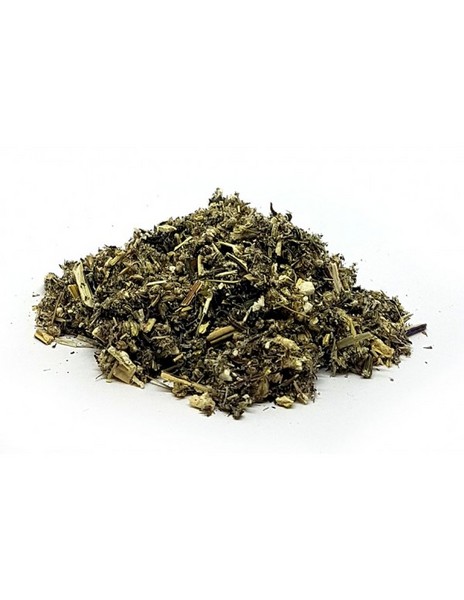 Artemisa Planta 35 Grs. (Herbes Del Moli)
