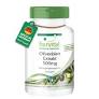 Extracto Hojas Olivo 500 Mg. 90 Caps. (Fairvital)