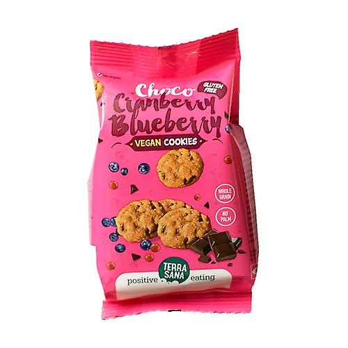 Galleta Avena Chocolate Arandanos 150 gr (Terrasana)