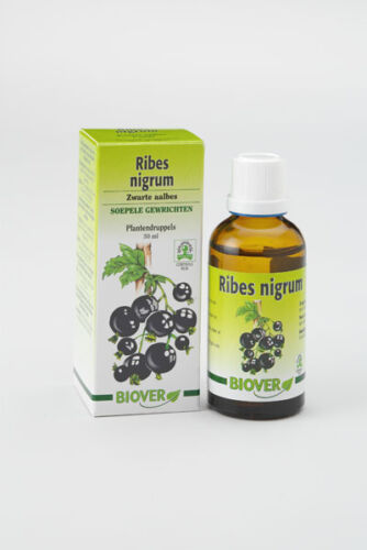 [5412141002402] Extracto Ribes Nigrum (Grosellero Negro) 50 ml. (Biover)