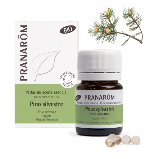 [5420008524158] Ac. Esencial Pino Silvestre Bio 60 Perlas (Pranarom)