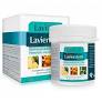 [8429007035822] Lavienzym 120 Comp. (Lavigor)