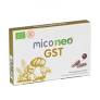 [8436036590857] Mico Cord 70 Caps.  (Hifas da Terra) (copia)