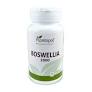 [8424409321542] Boswelia + Curcumina 90 Comp.(Naturmil) (copia)