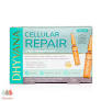 [8436554291489] Ampollas Reparador Celular 7 Ampollas (Dhyvana)