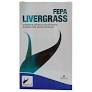 [8425402173329] Fepa Livergrass 60 Caps. (Fepadiet)