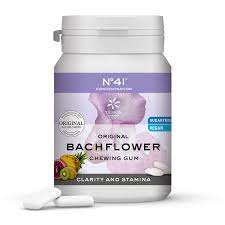 [4250424166035] Chicle Concentracion Nº41F ( Bachflower)