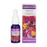 [8436003029069] Flower Of Life Estudiantes 15 ml. (Equisalud)