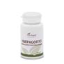 [8424409320446] Harpagofito Ext. Seco 100 Comp. (Plantapol)