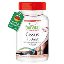 [8718309441562] Cissus 90 Cap (Fairvital)