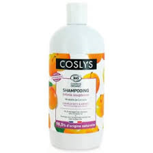 [3538394920217] Champu Pelo Seco 500 (Coslys)