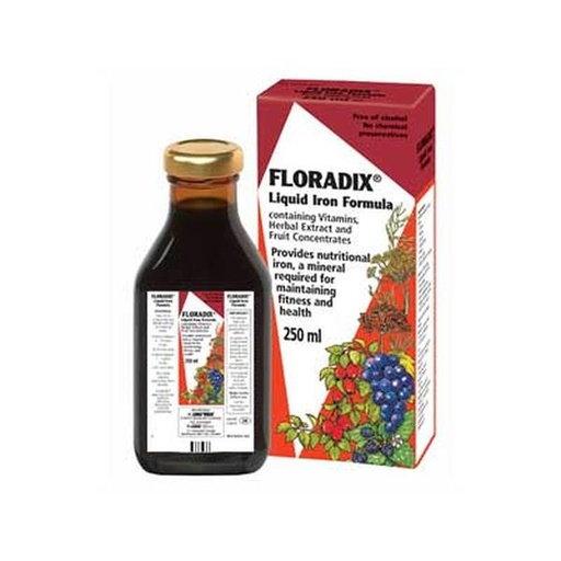 [4004148047503] Floradix Elixir 500Ml (Salus)