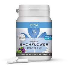 [4250424166042] Chicle Autoconfianza Nº42F ( Bachflower)