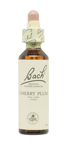 [5000488103823] Cherry Plum Nº 6 "Cerasifera" 20Ml. (Bach Flowers)