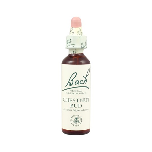 [5000488103830] Chestnut Bud Nº 07  *Brote De Castaño* 20Ml. (Bach Flowers) 7