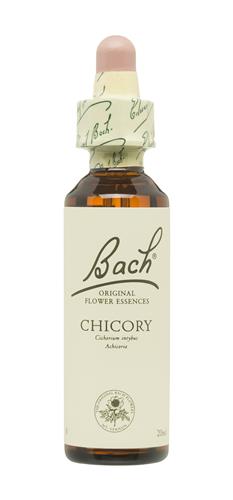 [5000488103847] Chicory "Achicoria" Nº 08  20Ml. (Bach Flowers)