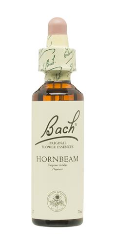 [5000488103939] Hornbeam Nº 17 *Hojarazo* 20Ml. (Bach Flowers)