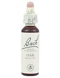[5000488103984] Oak *Roble* Nº 22  20Ml. (Bach Flowers)