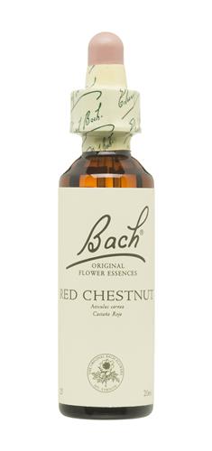 [5000488104011] Red Chestnut "Castaño Rojo" 20Ml. Nº 25 (Bach Flowers) 2