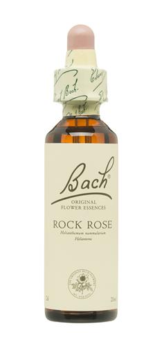 [5000488104028] Rock Rose *Heliantemo* 20 Ml. Nº 26 (Bach Flower)