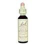 [5000488104059] Star Of Bethlehem Nº 29 20Ml. (Bach Flowers)