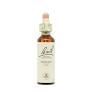 [5000488104073] Vervain Nº 31  20Ml. (Bach Flowers)