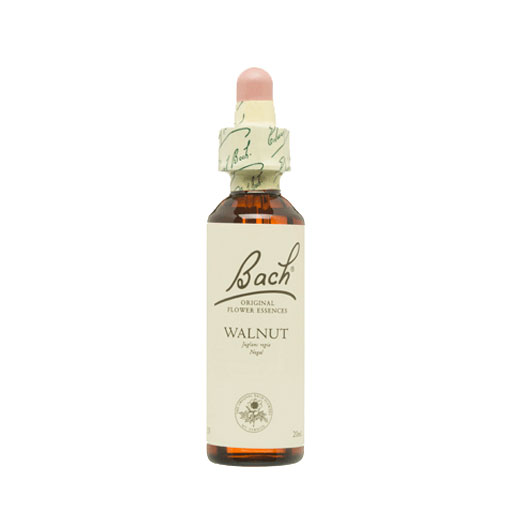 [5000488104097] Walnut "Nogal" Nº 33 20 Ml (Flower Bach)