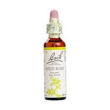 [5000488104134] Wild Rose *Rosa Silvestre* Nº 37  20Ml. (Bach Flowers)