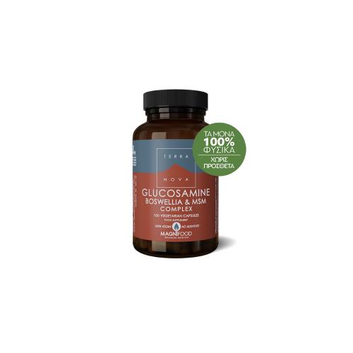 [5060203791698] Glucosamina Boswelia Y MSM 100 Caps. (Terranova)