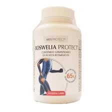 [8413568021394] Boswelia Protect 45 Caps. 500 Mg. (Intersa)