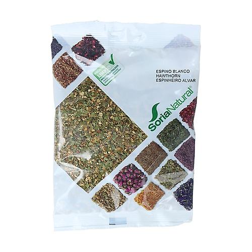 [8422947020897] Espino Blanco Planta 50 Grs. (Soria)
